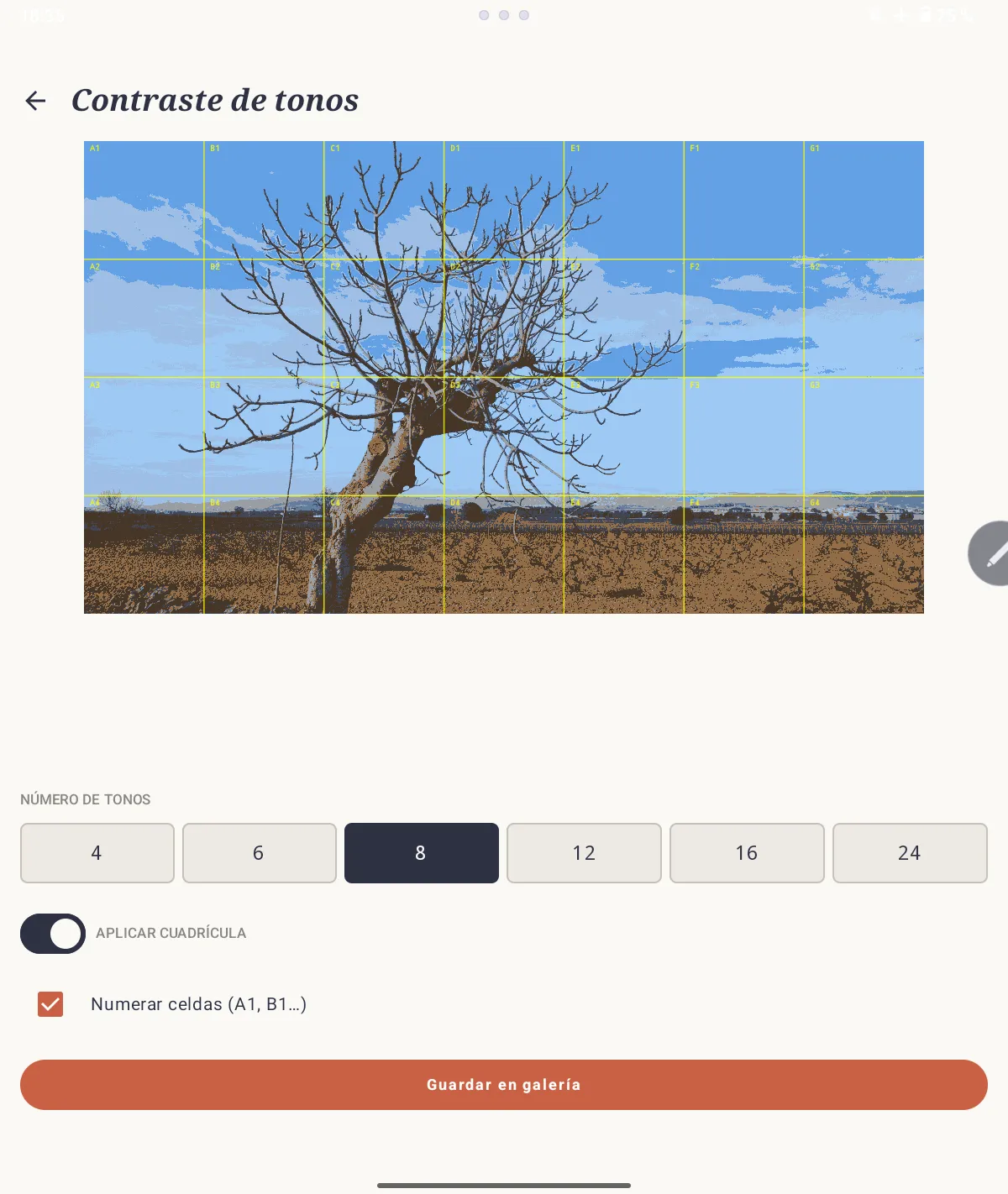 Análisis de contraste tonal de una imagen de referencia en SOS Artista