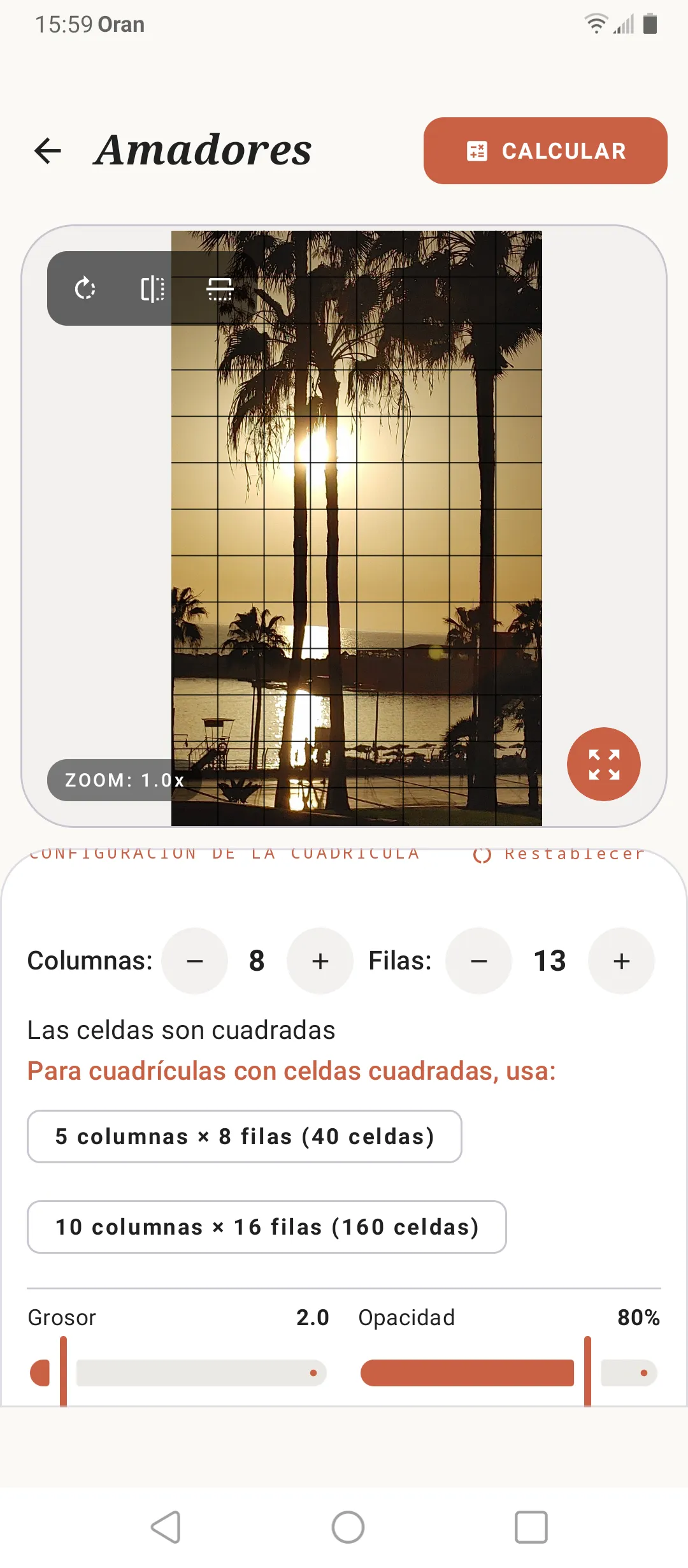 Editor de cuadrícula de SOS Artista sobre una imagen de referencia