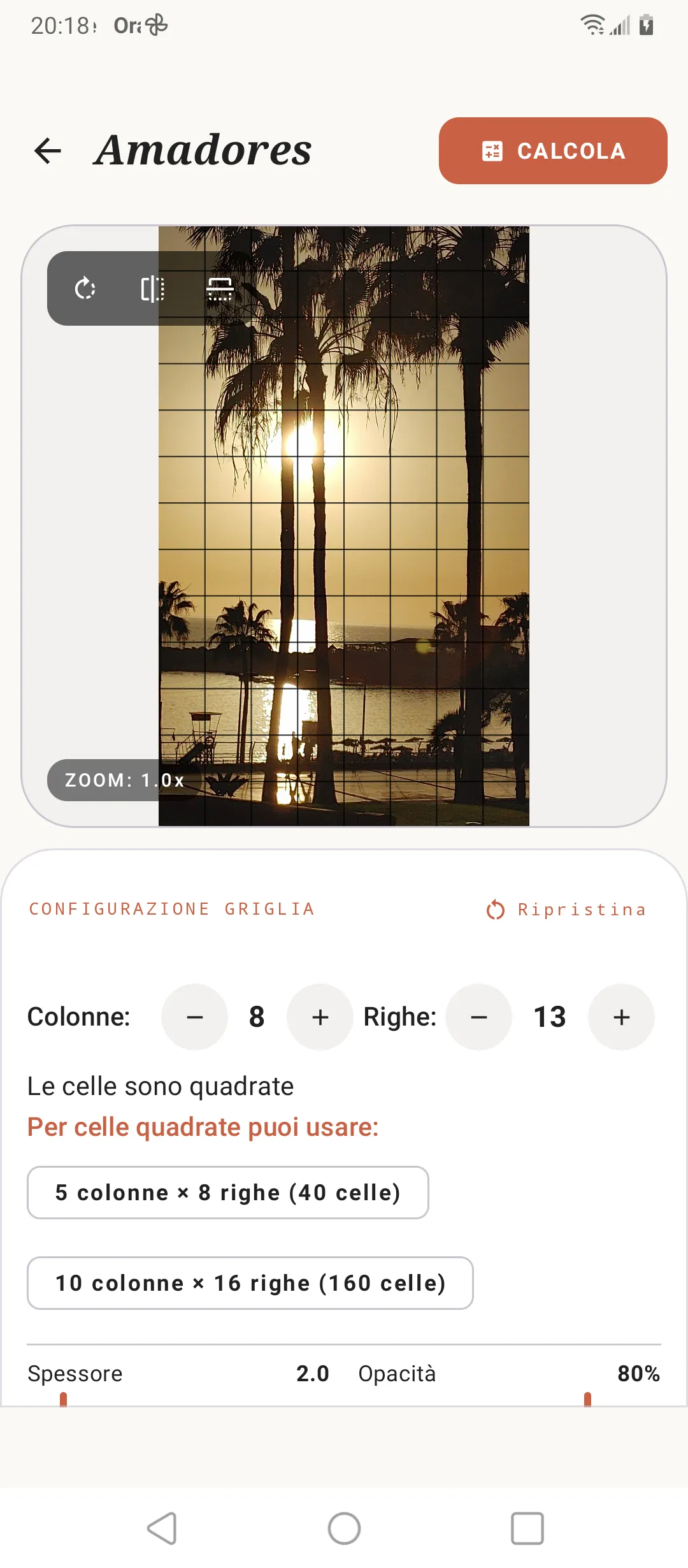 Editor della griglia di SOS Artista su un'immagine di riferimento