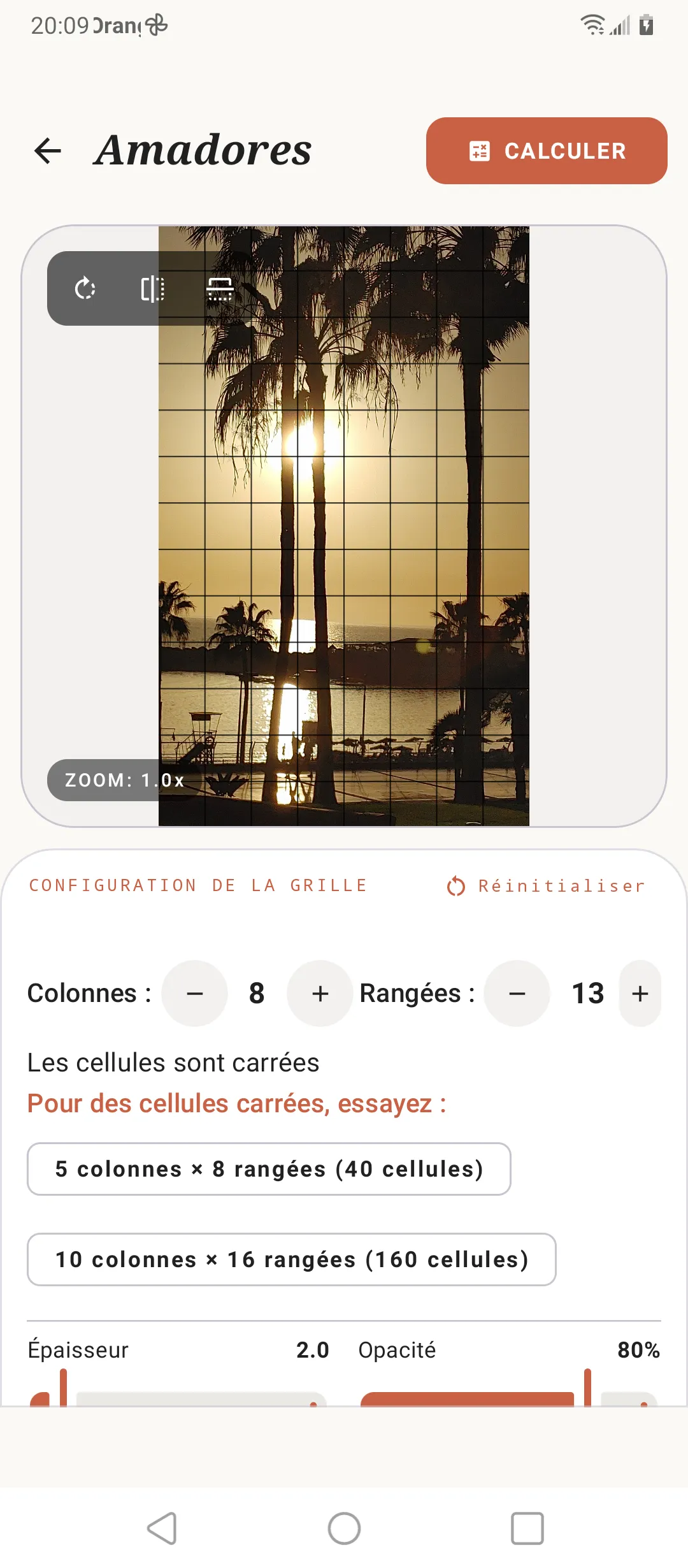 Éditeur de grille de SOS Artista sur une image de référence