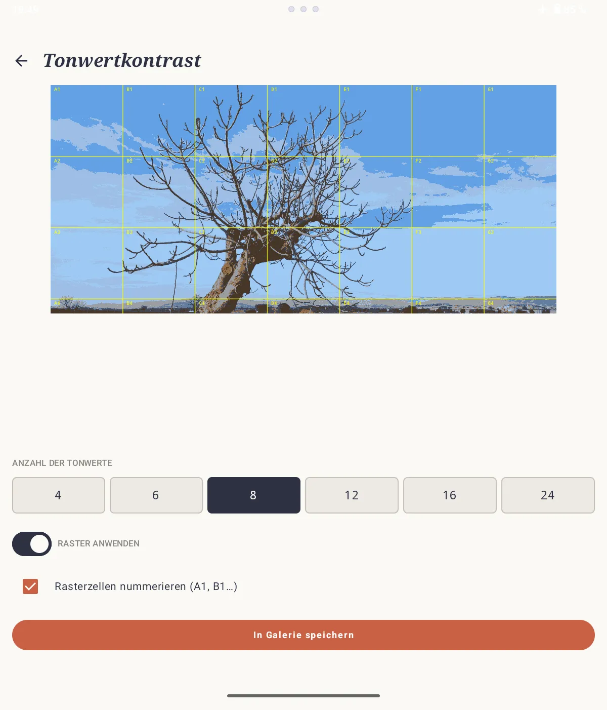 Tonwertkontrast-Analyse eines Referenzbildes in SOS Artista