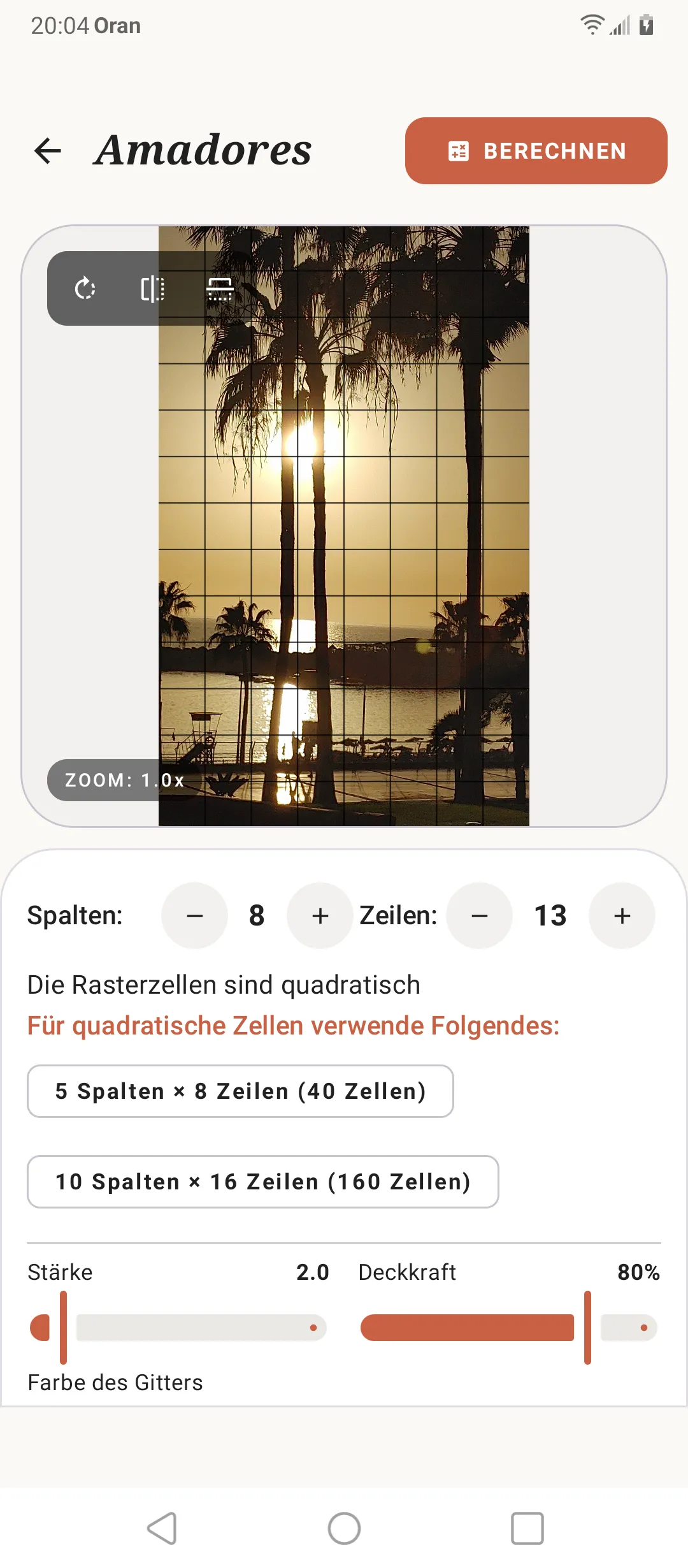 Zeichenraster-Editor von SOS Artista auf einem Referenzbild